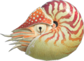 Chambered Nautilus NH.png