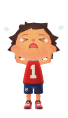 NH Player Sorrow.png
