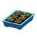 Potted starter plants's Blue variant