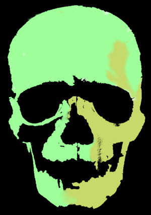 Skull.png