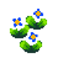 White Pansy PG Upscaled.png