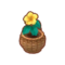 Yellow Island Hibiscus PC Icon.png