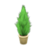 Cypress plant's Yellow variant