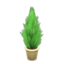 Cypress Plant