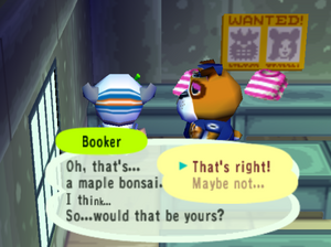 Poki, Animal Crossing Wiki