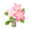 Pink Beach Plumeria PC Icon.png