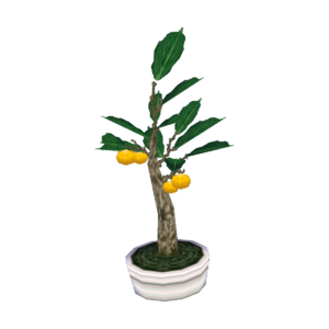 Holly Bonsai CF Model.png