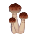 Skinny Mushroom CF Model.png