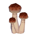 skinny mushroom