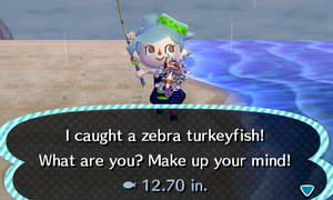 Caught Zebra Turkeyfish NL.png