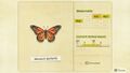 NH Critterpedia Monarch Butterfly Southern Hemisphere.jpg