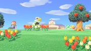 Nintendo Music ACNH 2 00 PM - Clear.jpg