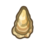 oyster