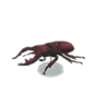 saw stag model