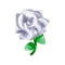 White Crystal Rose PC Icon.png
