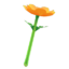 windflower wand