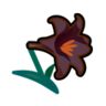 black lilies