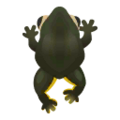 King Goliath Frog PC Icon.png