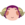 Stella NH Villager Icon.png