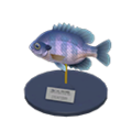Bluegill Model NH Icon.png