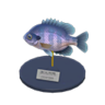 bluegill model