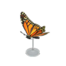 monarch butterfly model