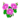Pink Morning Glory PC Icon.png