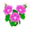 Pink Morning Glory PC Icon.png