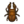 Saw Stag NL Icon.png