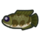Giant Snakehead NH Icon.png
