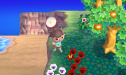 NL Bug Catching E3 2011.png