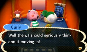 NL Curly Moving In Campsite.jpg