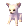 Chihuahua ornament