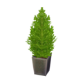 Cypress Plant (Light Green) NL Model.png