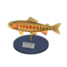 golden trout model