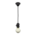 Hanging Lightbulb's Black variant