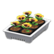 Potted starter plants's White variant