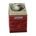 Ammonite