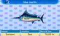 NL Encyclopedia Blue Marlin.png