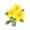 Yellow Plumeria PC Icon.png
