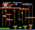 Donkey Kong Jr. gameplay.png