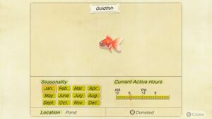 NH Critterpedia Goldfish.jpg