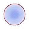Swan-Ballet Lake PC Icon.png