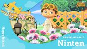NH Island Tour Creator Poster 2 1.9.0 Promo.jpg