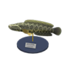 giant snakehead model