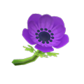 Purple Windflowers NH Icon.png
