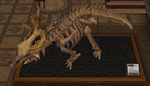 CF Styracosaurus Museum.png