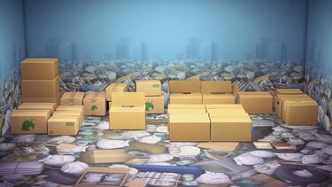 NH Cardboard Series.jpg