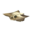 Cow Skull PG Model.png