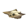 cow skull